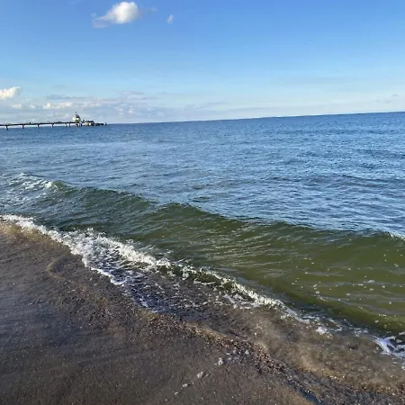 Marin, 16 زينوويتز