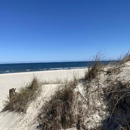 Marin, 16 زينوويتز